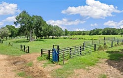1010 St Delight Road, Paige, TX 78659