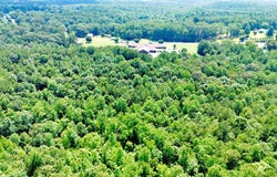 0 Highway 195, Double Springs, AL 35503