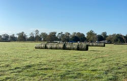 154 Bowie Rd, Cedar Lane, TX 77415