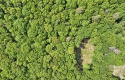 Jersey Road, Wurtsboro, NY 12790
