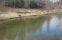 31.53 Ac Barnett Road, Murphy, NC 28906