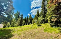 201 Discovery Drive, Donnelly, ID 83615