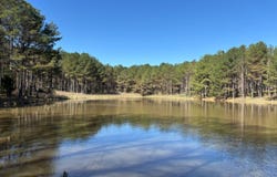 County Road 256, Houston, MS 38851