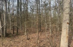 0 E Meinert Road, Holton, MI 49425