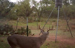 RR 152, Castell, TX 78643