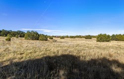 25 Holiday, Tijeras, NM 87059