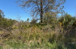 5499 E Stokes Ferry Road, Hernando, FL 34442
