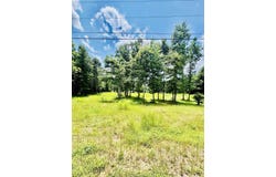 Pride Estates Rd, Tuscumbia, AL 35674