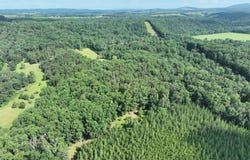 26.33 ACRES HICKORY CORNER ROAD, AUGUSTA, WV 26704