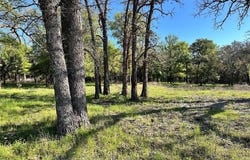 Lot 27 PR 1272, Carlton, TX 76436