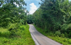 Martin Road NE, Golden, MS 38847