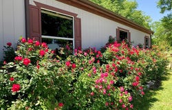 272 County Road 2062, Klondike, TX 75448