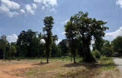 0 County Road 42, Akron, AL 35474