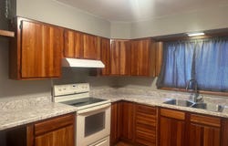 1105 HOLLAND ST, CUMBERLAND, MD 21502
