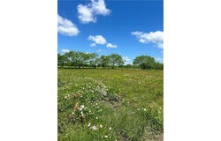 Tbd LCR 300 Road, Mart, TX 76664