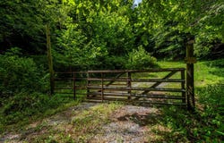 16940 Nordyke Road, Bristol, VA 24202