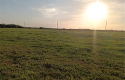 1034 Branchs Circle, Moore Haven, FL 33471