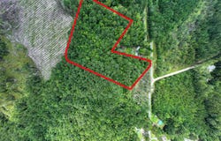 1243 Credit Hill, Townsend, GA 31331
