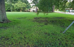 504 N Wilson Street, Chadbourn, NC 28431
