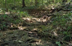 10021 Bugle Rd, Cadet, MO 63630