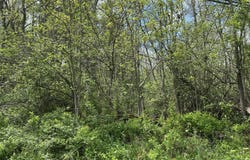 996 Rosengrant Road, Lake Ariel, PA 18436