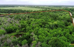 County Road 666, Kosse, TX 76653