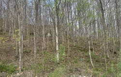 Buckeye Lane lot: 84, Wilder, TN 38589
