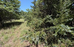230 Keys Road, Sunset, TX 76270