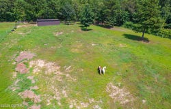 1272 Bailey Road, Finger, TN 38334