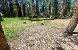 1772 Spruce Drive, Cimarron, CO 81220