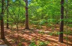 7 ACRES Bronco Road, Lafayette, GA 30728
