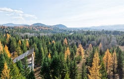 226 Lupfer Road, Whitefish, MT 59937