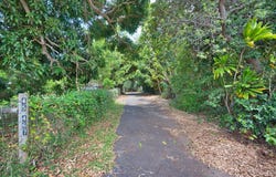45-467 ILIMA ST, Honokaa, HI 96727