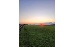 2754 Coleman Springs Path, Georgetown, KY 40324