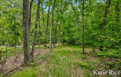 Vl Lamos Road, Montague, MI 49437