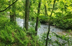 00 Kiwanis Road, Lee, NY 13440