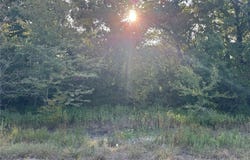 R and R Cir, Kemp, TX 75143