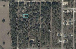 NE 148TH Court, WILLISTON, FL 32696