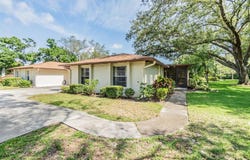 2150 SHELLY DRIVE, PALM HARBOR, FL 34684