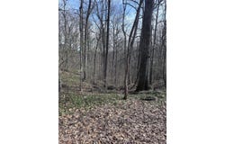 9976 Blue Springs Road, Harrison, TN 37341