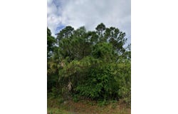 3268 NW 19th Avenue, Okeechobee, FL 34972