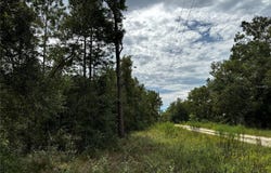 NE 155TH Court, WILLISTON, FL 32696