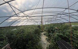 2910 N 127 HWY, Owenton, KY 40359