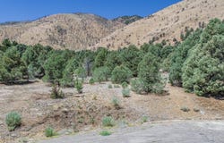 1520 Alba Vista unit: 48, Gardnerville, NV 89410
