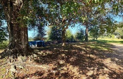 17219 Moore Rd, Andalusia, AL 36420