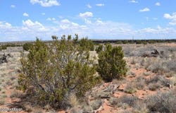 Lot 020e E 24th North Street, Snowflake, AZ 85937