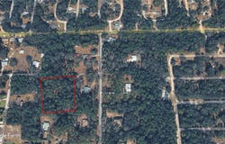 8450 pine haven Point, Crystal River, FL 34428