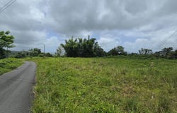 46 PARCELA EN BO JACANAS, YABUCOA, 00767