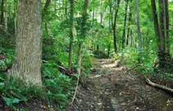 18 +/- Acres County Road 1250 West, Medora, IN 47260