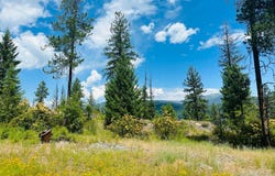 NHN Campbell Drive, Troy, MT 59935